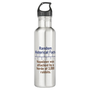 Napoleon Was Attached - History Fact Stainless Steel Water Bottle