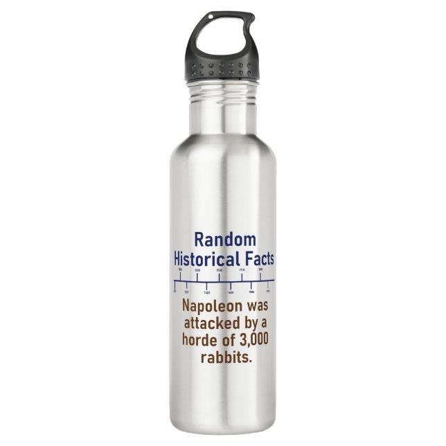 Napoleon Was Attached - History Fact Stainless Steel Water Bottle (Front)