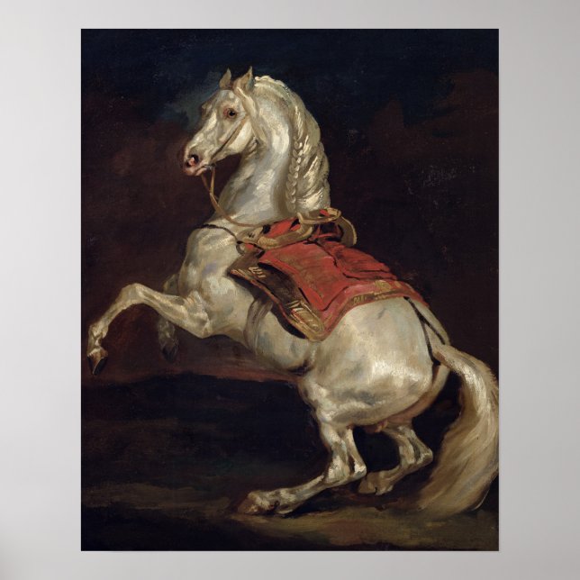 Napoleon's Stallion, Tamerlan Poster (Front)