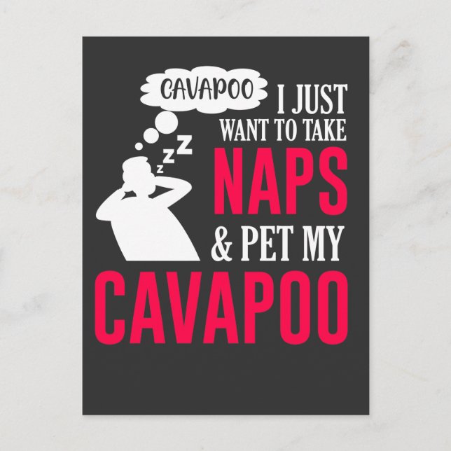 Napping and pet my Cavapoo Dog Nap Humor Postcard (Front)