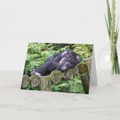 Napping Chimpanzee Birthday Humor Card