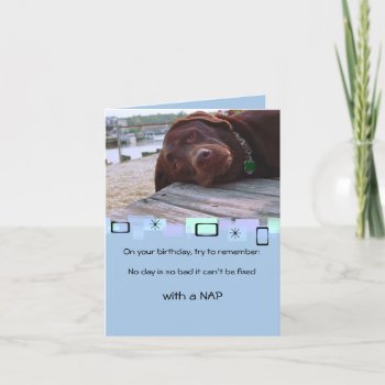 Napping Chocolate Lab All Occasion Greeting Card by malibuitalian at Zazzle