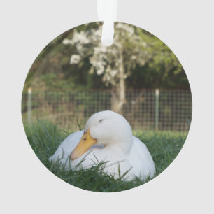 Napping Duck Ornament