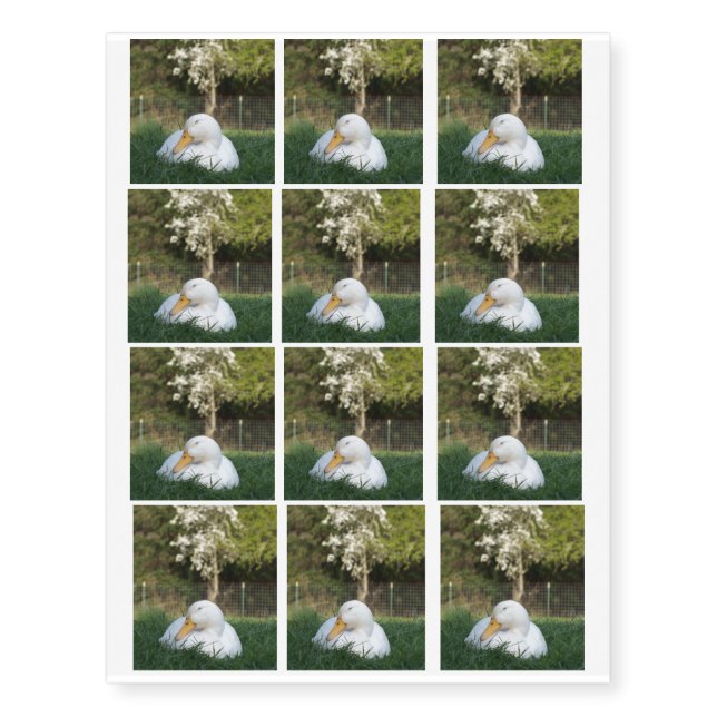 Napping Duck Tattoo (Front)