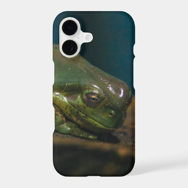 napping frog iphone case (Back)