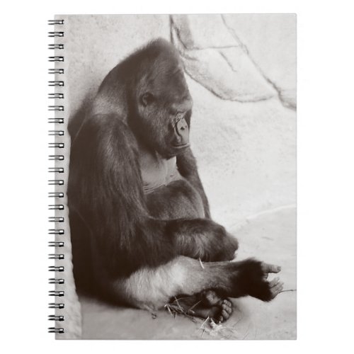 Napping Gorilla Photo Notebook
