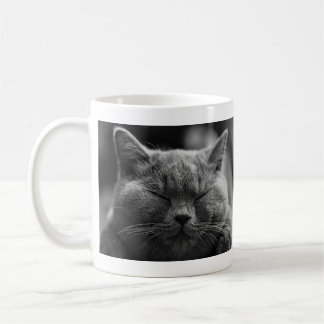 Napping Gray Cat Coffee Mug
