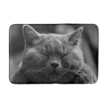 Napping Gray Cat Head Shot