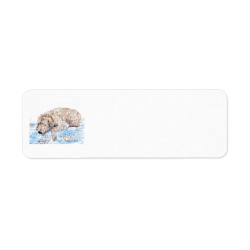 Napping Labradoodle Label