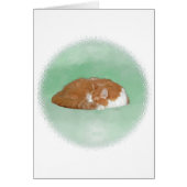 Napping Orange Kitty Cards (Front)