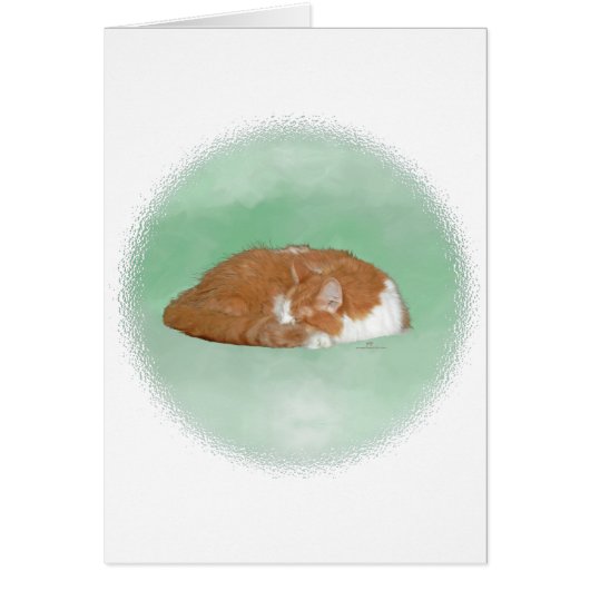 Napping Orange Kitty Cards (Front)