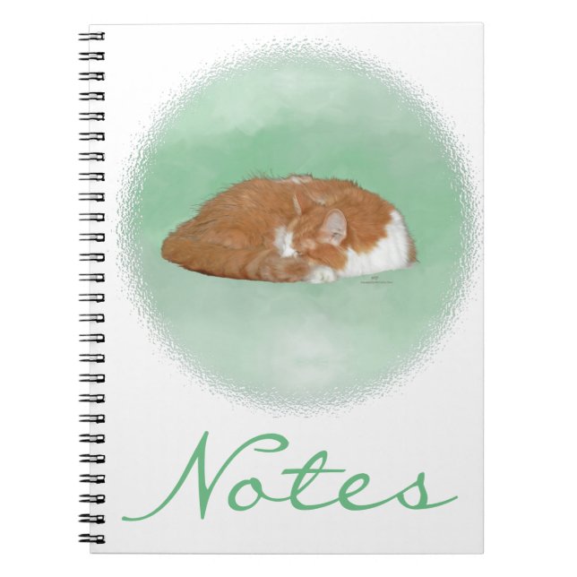 Napping Orange Kitty Notebook (Front)