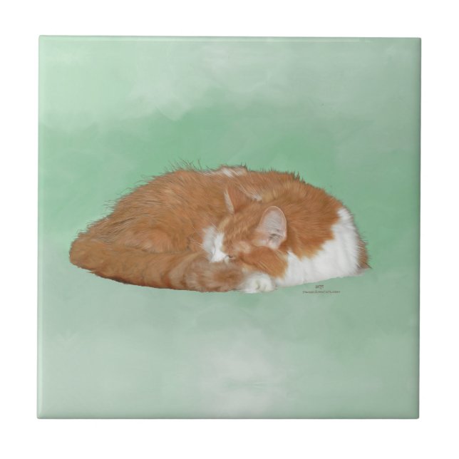 Napping Orange Kitty Tile (Front)