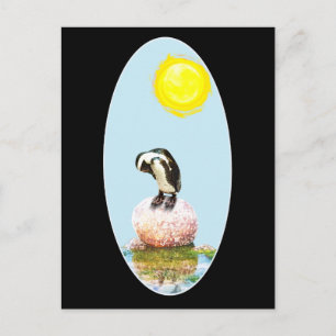 Napping Penguin in the Sun Postcard