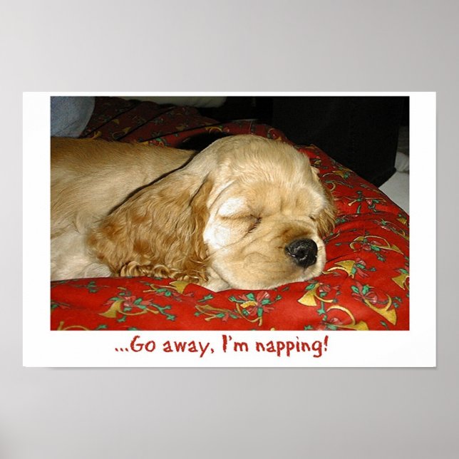 Napping Poster (Front)