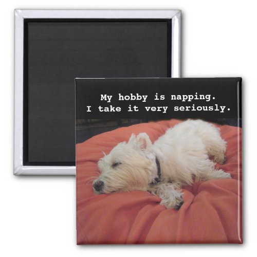 Napping Westie Photo Magnet