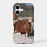 Napping Wild Ponies at Assateague National Park iPhone 17 Case