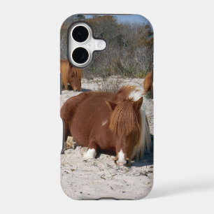 Napping Wild Ponies at Assateague National Park iPhone 17 Case