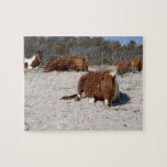 Napping Wild Ponies at Assateague National Park Jigsaw Puzzle