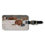 Napping Wild Ponies at Assateague National Park Luggage Tag