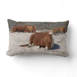 Napping Wild Ponies at Assateague National Park Lumbar Pillow