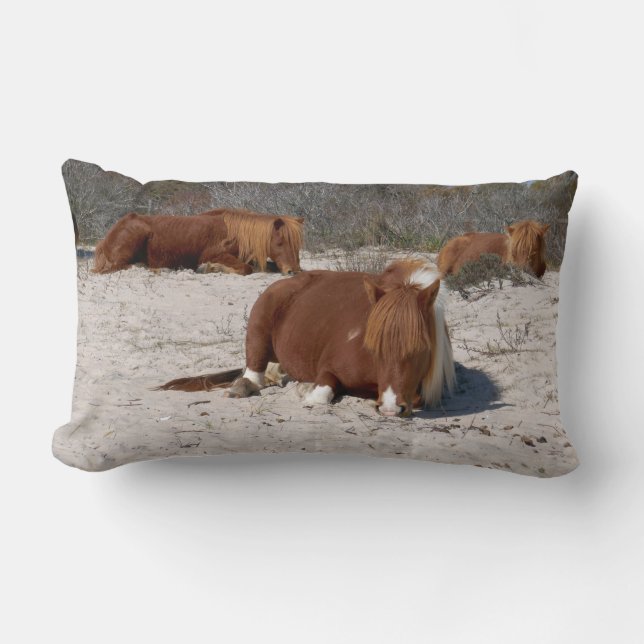 Napping Wild Ponies at Assateague National Park Lumbar Pillow (Front)