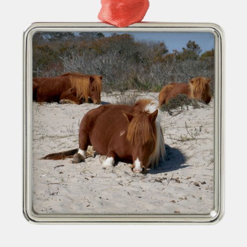 Napping Wild Ponies at Assateague National Park Metal Ornament