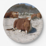 Napping Wild Ponies at Assateague National Park Paper Plates