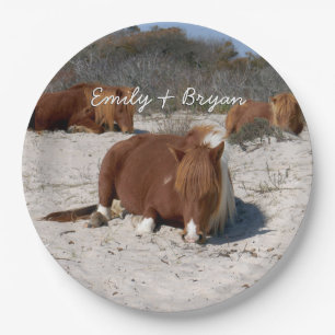 Napping Wild Ponies at Assateague National Park Paper Plates