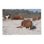 Napping Wild Ponies at Assateague National Park Placemat