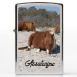 Napping Wild Ponies at Assateague National Park Zippo Lighter
