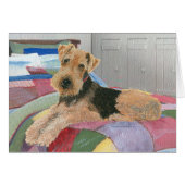 Naptime (Front Horizontal)