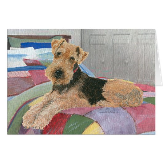 Naptime (Front Horizontal)