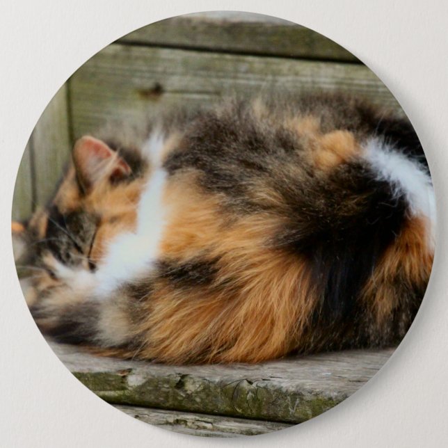 Naptime Button (Front)