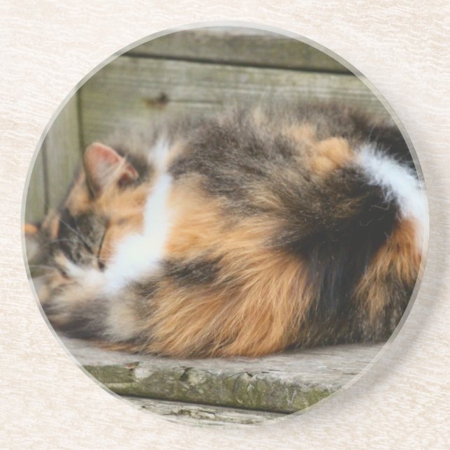 Naptime Coaster (Front)