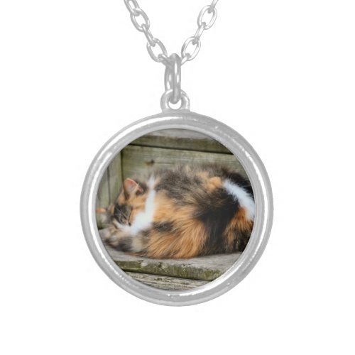Naptime Silver Plated Necklace
