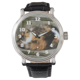 Naptime Watch