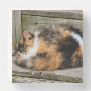 Naptime Wooden Box Sign