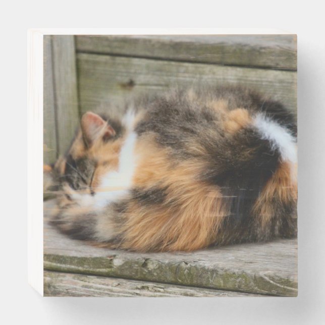 Naptime Wooden Box Sign (Front Horizontal)