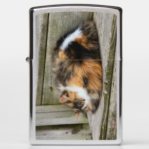 Naptime Zippo Lighter