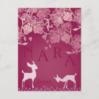 Nara Japan Sakura Deer Hand Illustrated