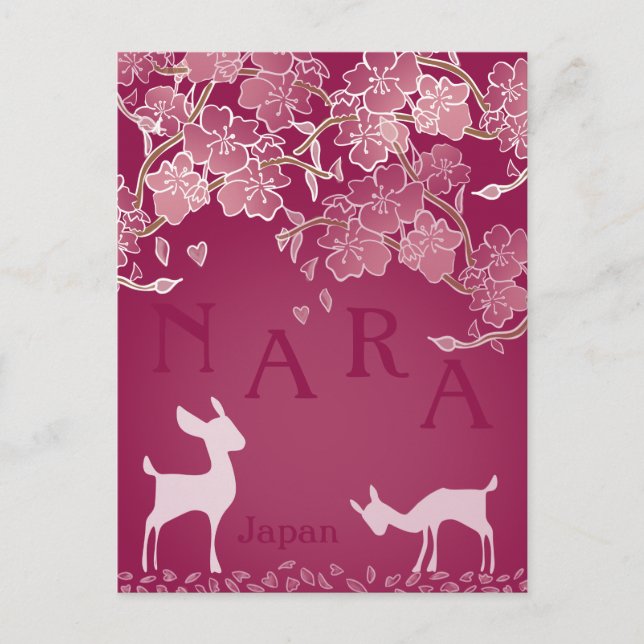 Nara Japan Sakura Deer Hand Illustrated  Postcard (Front)