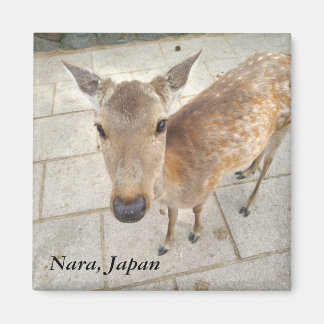 Nara Japan souvenir photo magnet
