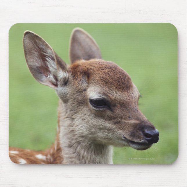 Nara Prefecture, Honshu, Japan Mouse Pad (Front)