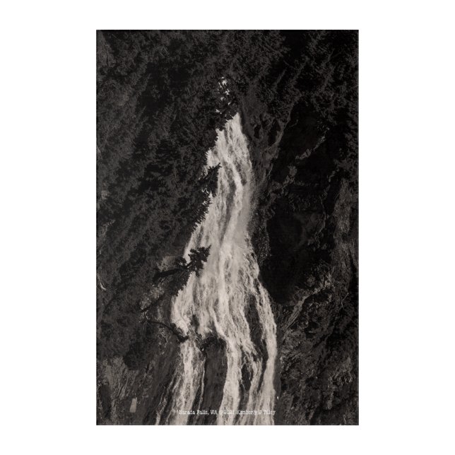 Narada Falls, WA Acrylic Print (Front)