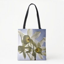 Narcissen die bloeien met een lente blauwe lucht 