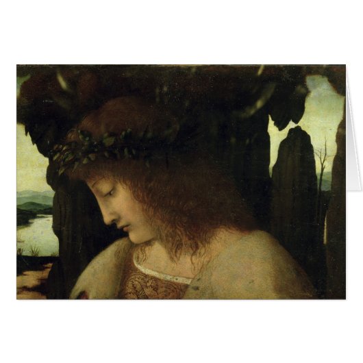 Narcissus at the Fountain Cards (Front Horizontal)