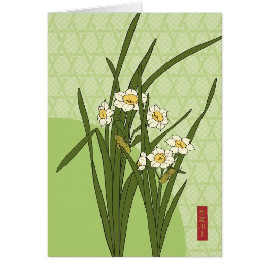 Narcissus Bloom Cards (Front)