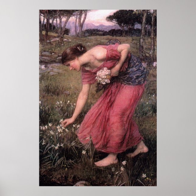 Narcissus by John William Waterhouse - 1912 Poster (Front)