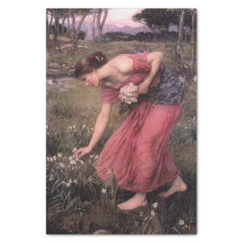 Narcissus by John William Waterhouse _ 1912 Tissue Paper